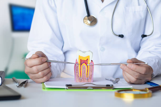 Best Broken or Chipped Tooth Repair in Cao, ND